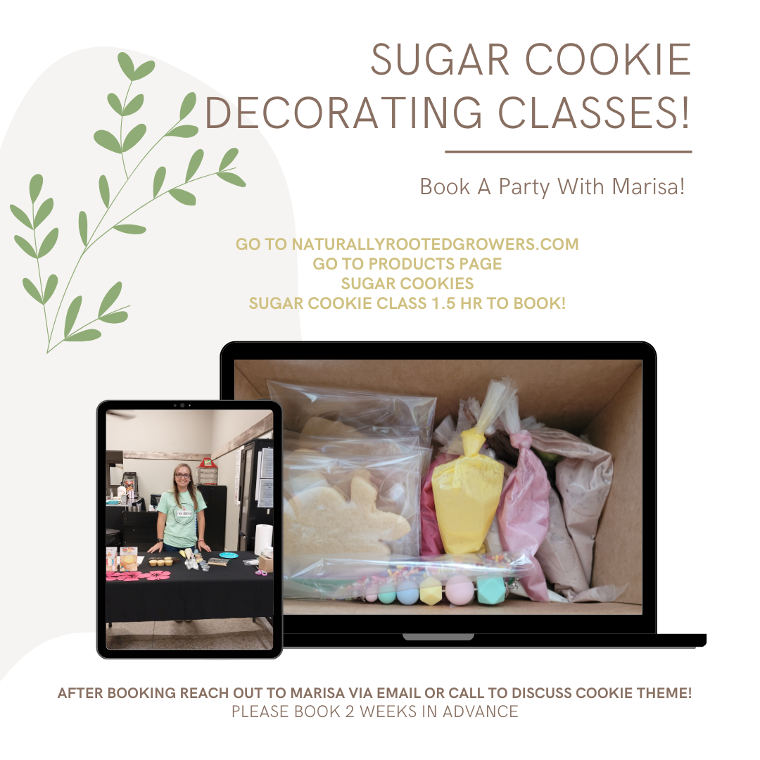Sugar Cookie Class - 1.5 HR