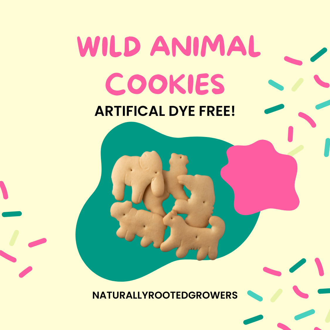 Wild Animal Cookies