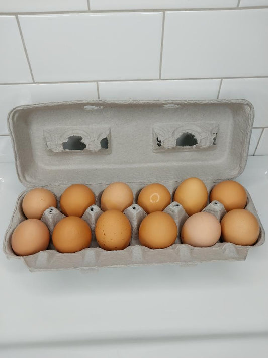 Fresh Eggs