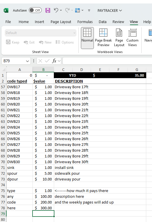 PayTracker Excel File