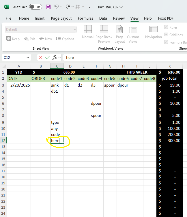 PayTracker Excel File